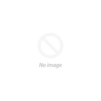AUTO PARTS SUPPLY GROUP